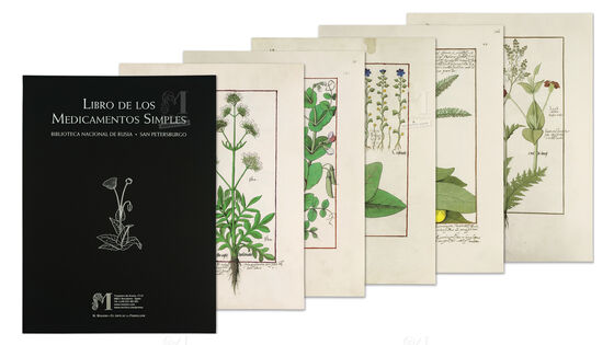Folder of 5 folios from the Book of Simple Medicines (15th C)     5 quasi-original illuminations  