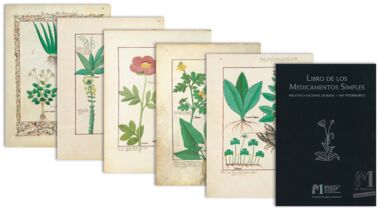 Pasta com 5 fólios do Livro dos Medicamentos Simples (s. XV)     5 lâminas quase-originais  