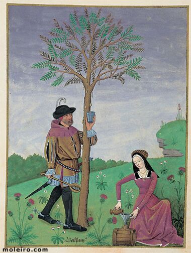 Livro dos Medicamentos Simples Biblioteca Nacional da Rússia, São Petersburgo