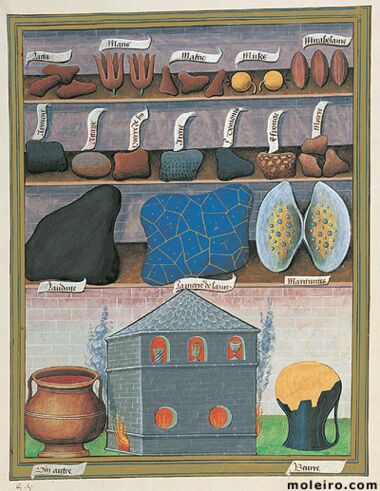 Livro dos Medicamentos Simples Biblioteca Nacional da Rússia, São Petersburgo