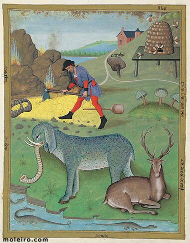 Livro dos Medicamentos Simples Biblioteca Nacional da Rússia, São Petersburgo