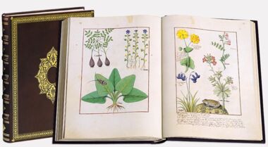 The Book of Simple Medicines National Library of Russia, St Petersburg