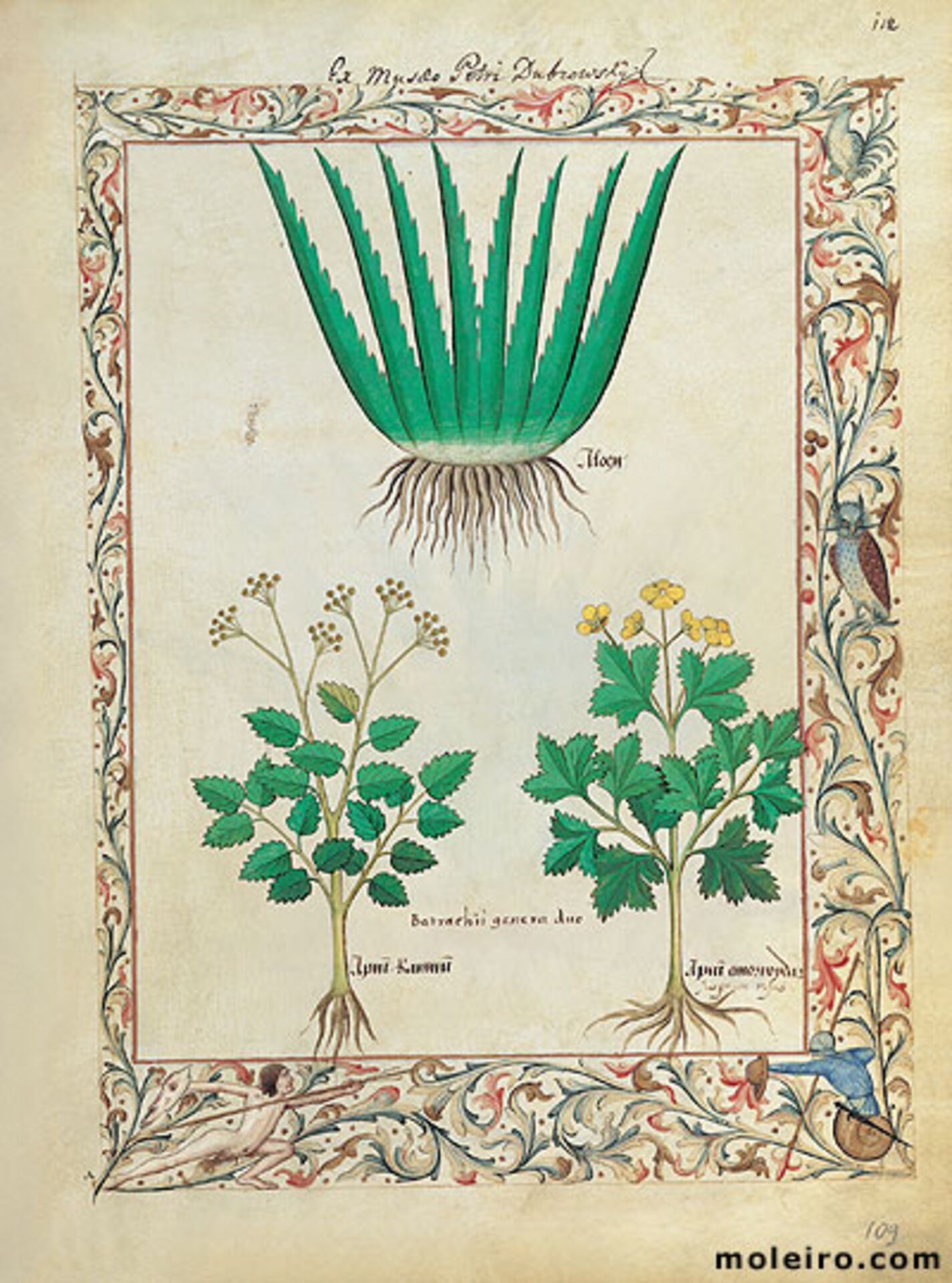 f. 112r