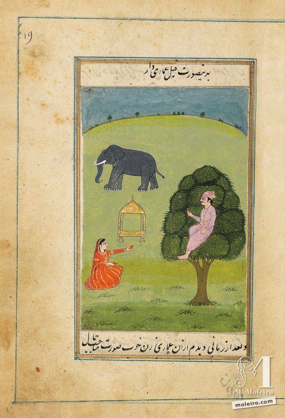 Lazzat al-nisâ (O prazer das mulheres) Elefante com howdah - f. 19r
