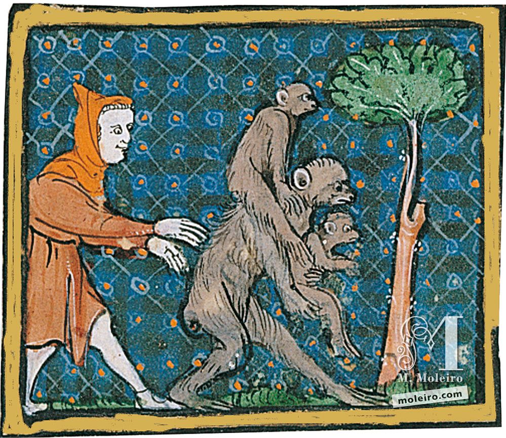 Libro del Tesoro f. 59r, De los monos