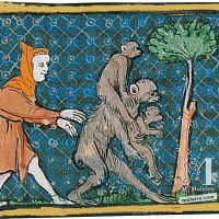 f. 59r, Les singes