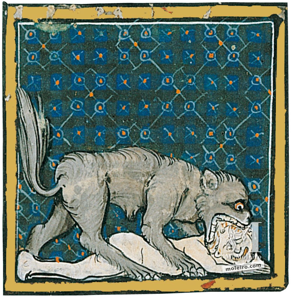 Libro del Tesoro f. 58r, Del perro