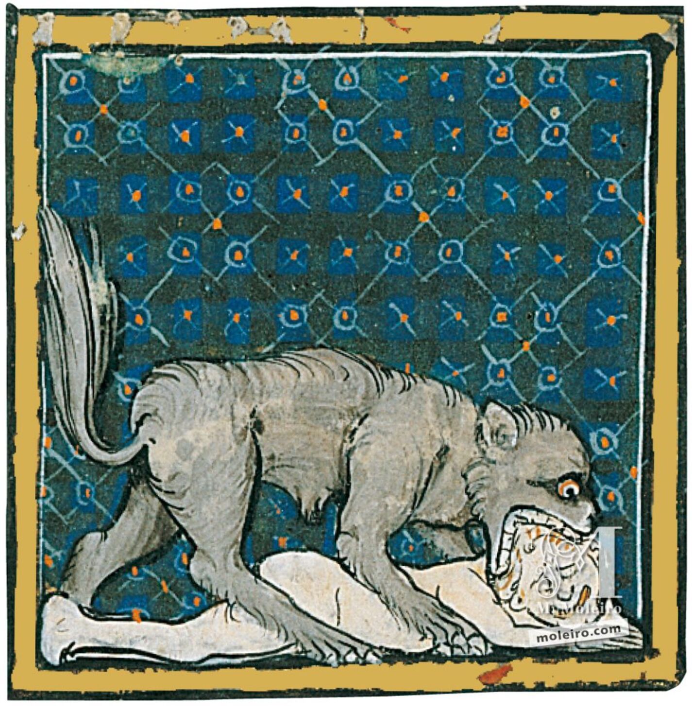 f. 58r, Del perro