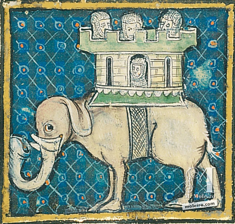 Libro del Tesoro f. 57r, Del elefante