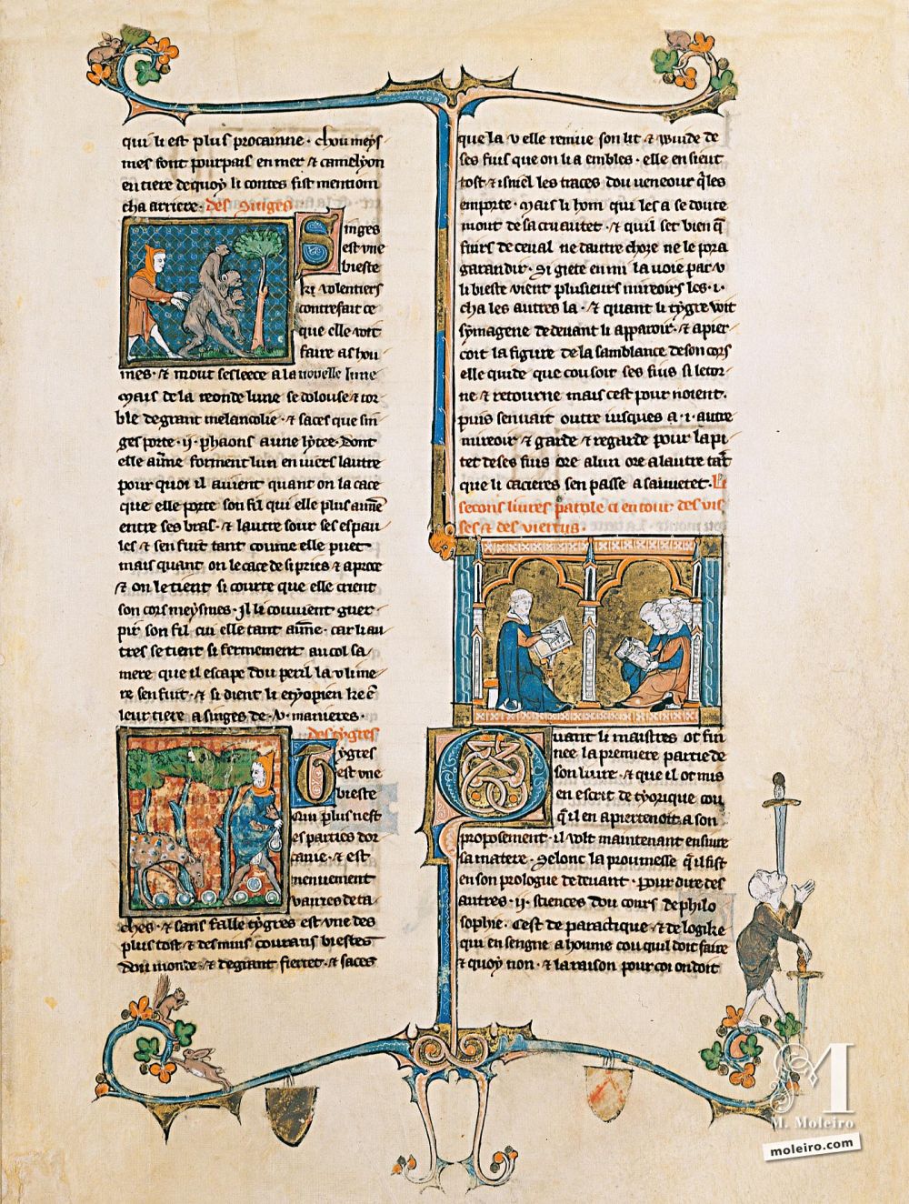 Libro del Tesoro f. 59r, Del mono y de la tigresa