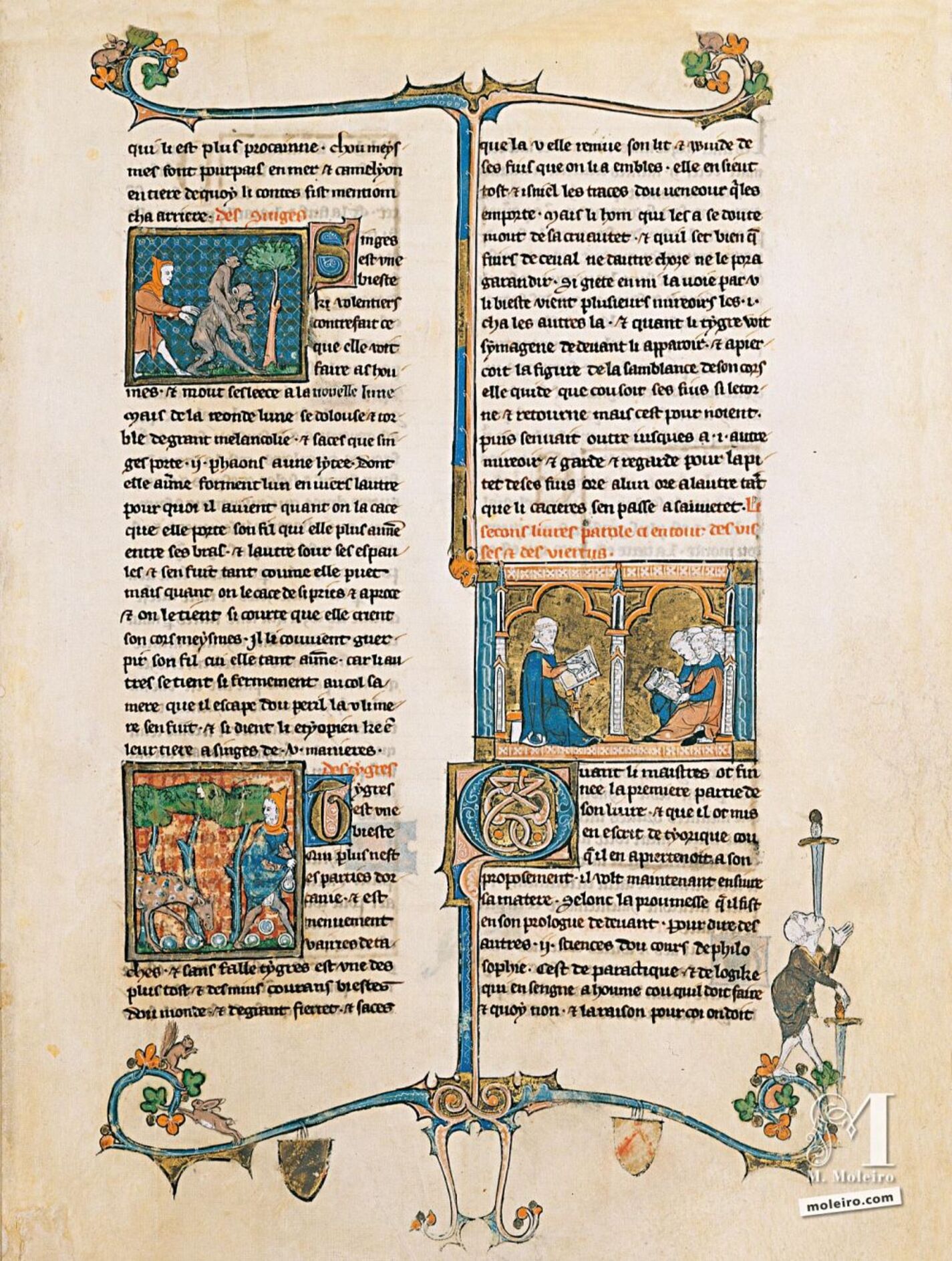 f. 59r, Del mono y de la tigresa