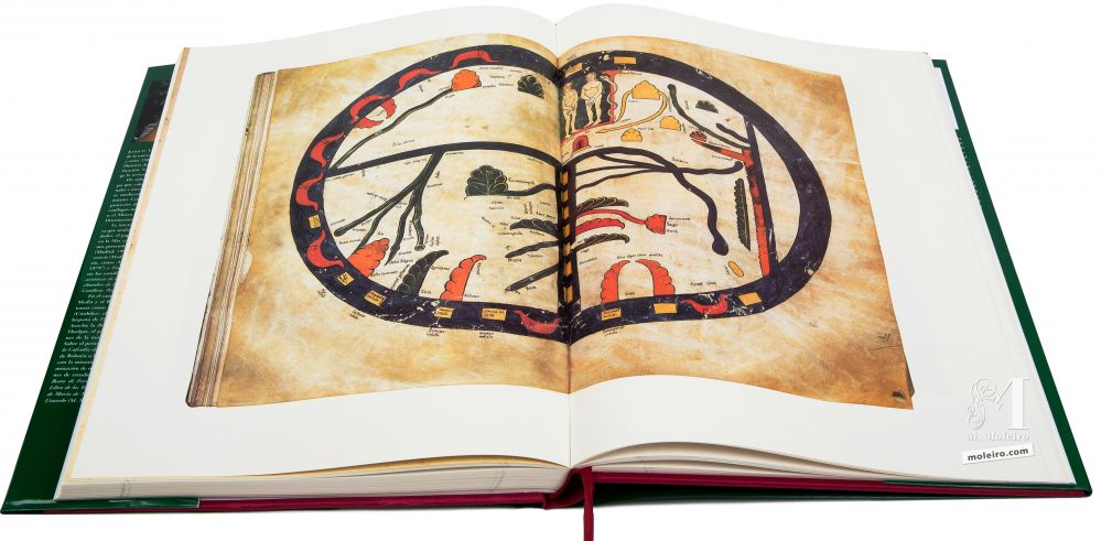 Beato de Liébana - Manuscritos Iluminados Mapamundi. Beato de Manchester, ff. 43v-44