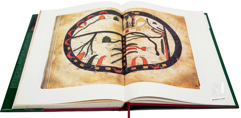 Beato de Liébana - Manuscritos Iluminados 