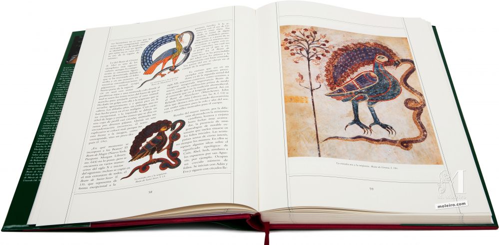 Beato de Liébana - Manuscritos Iluminados 
Comparación de diferentes imágenes de la extraña ave y la serpiente
