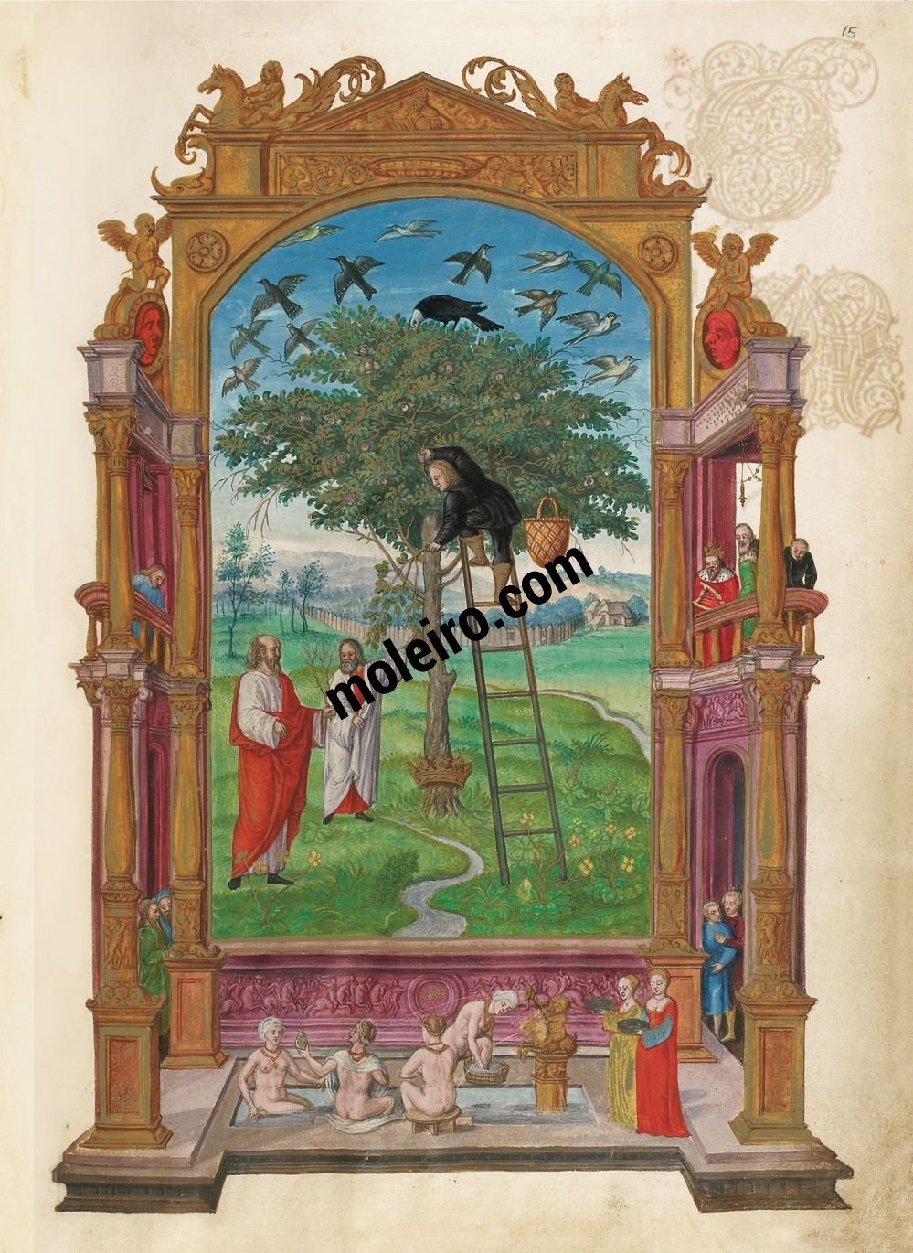 Árbol Filosófico en el Splendor Solis-Harley 3469 (1582, Alemania) British Library