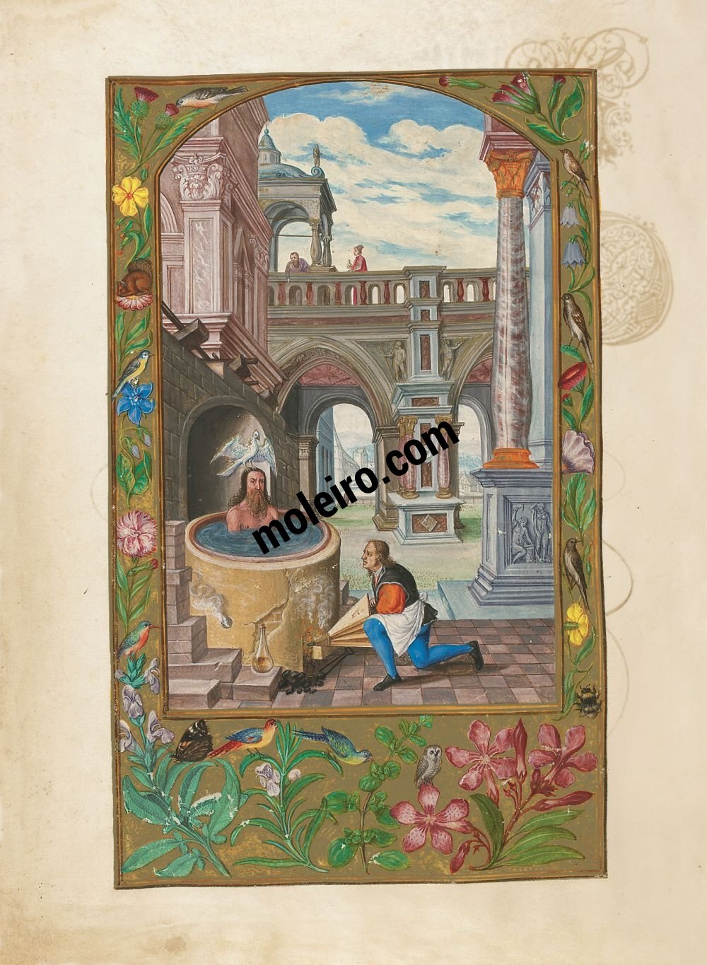 Splendor Solis f. 21v, Cocción