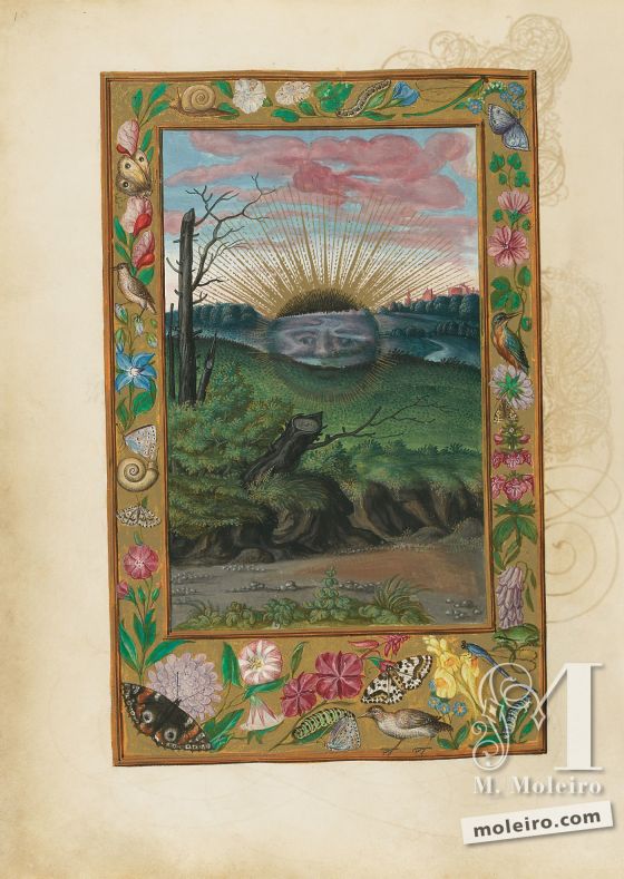 Splendor Solis f. 30v, Sol Negro