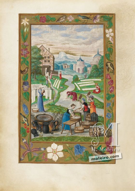 Splendor Solis f. 32v, Labor de Mujeres