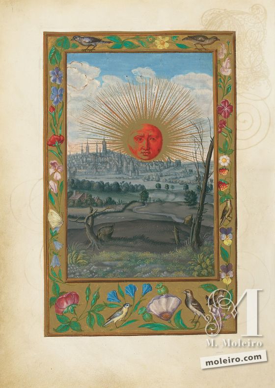 Splendor Solis f. 33v, Sol Rojo