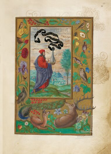 Splendor Solis British Library, Londres Splendor Solis British Library, Londres