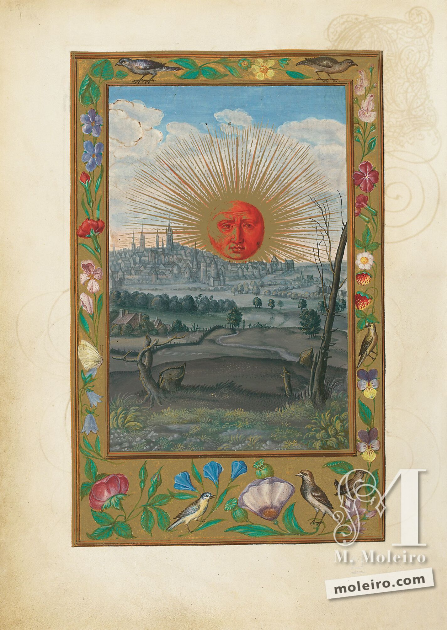 f. 33v, Sol Rojo