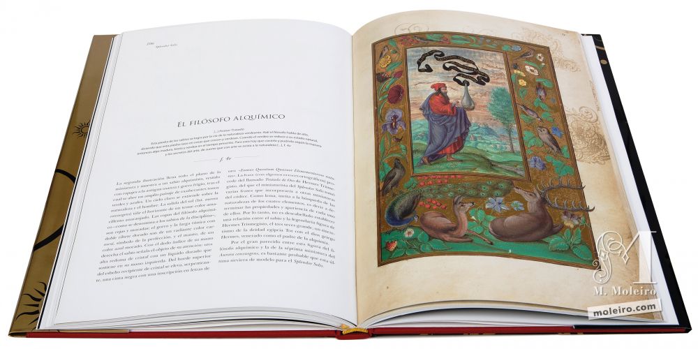 Filosofo alchemico nel trattato alchemico Splendor Solis, Harley Ms. 3469 (1582, Germania) della British Library