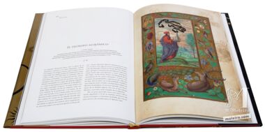 Splendor Solis Le plus beau trait d alchimie jamais cr.