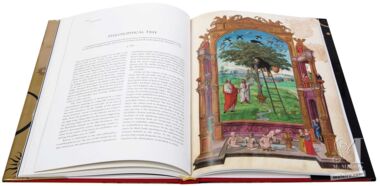 Splendor Solis Le plus beau trait d alchimie jamais cr.