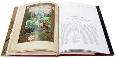 Splendor Solis Le plus beau trait d alchimie jamais cr.