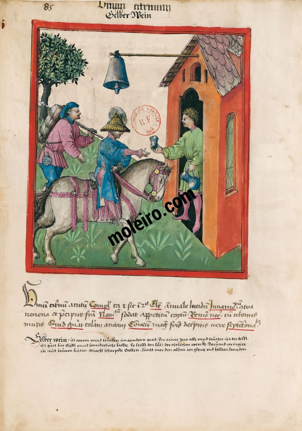 Tacuinum Sanitatis f. 85v, Vin blanc jeune