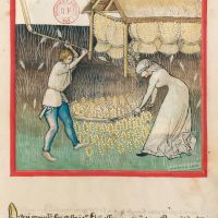 f. 42r, Barley