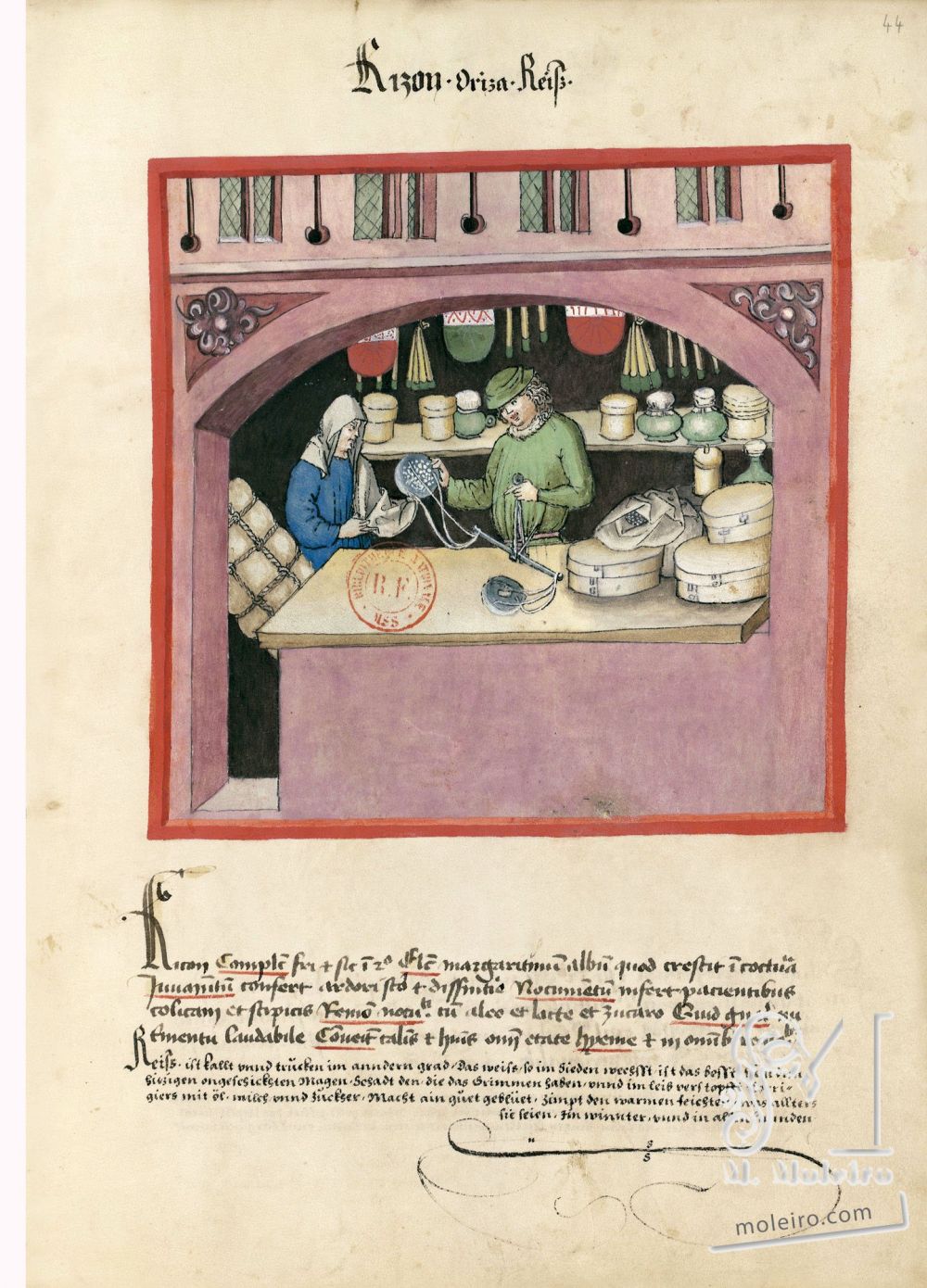 Tacuinum Sanitatis f. 44r, Riz