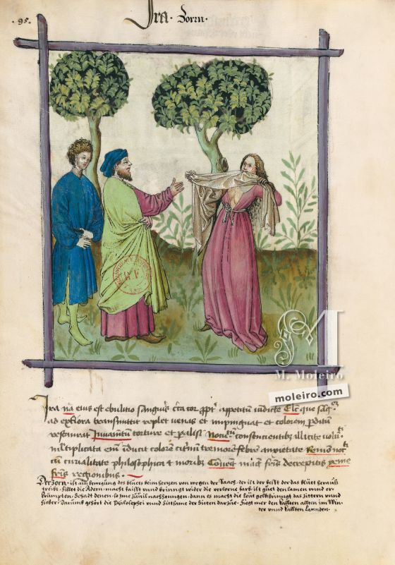 Tacuinum Sanitatis f. 95v, Zorn