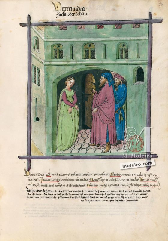 Tacuinum Sanitatis f. 95r, Scham