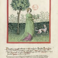 f. 31v, Petersilie