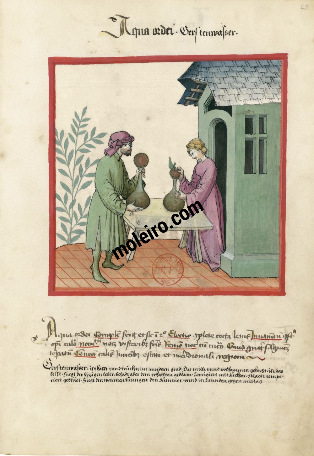 f. 43r, Acqua d’orzo. Tacuinum Sanitatis, Ms. Lat. 9333. Bibliothèque nationale de France, Parigi