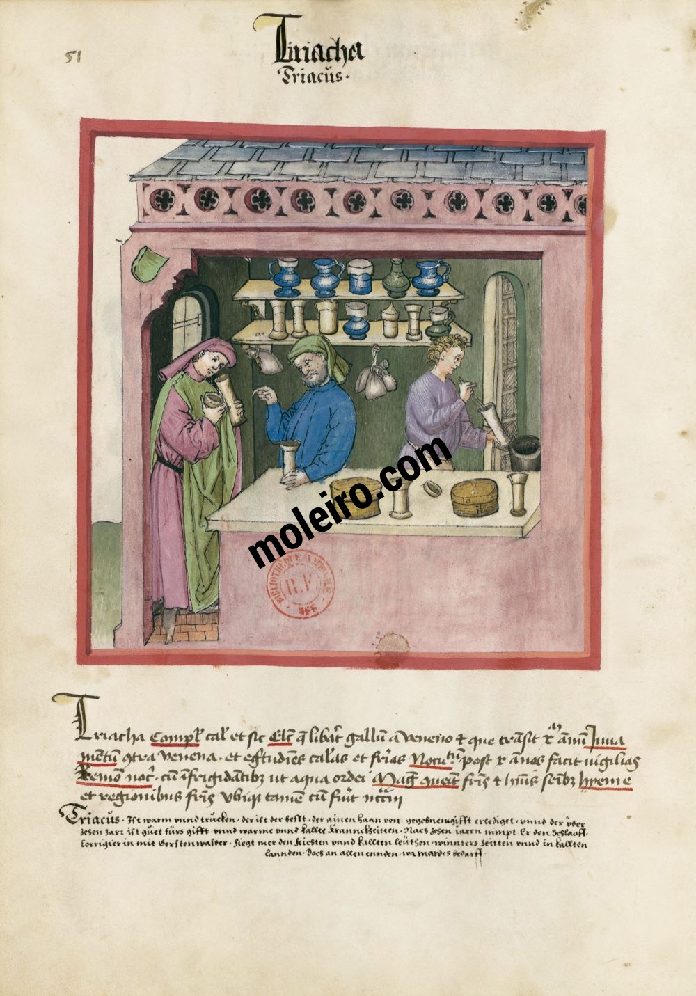 Tacuinum Sanitatis f. 51v, Theriak
