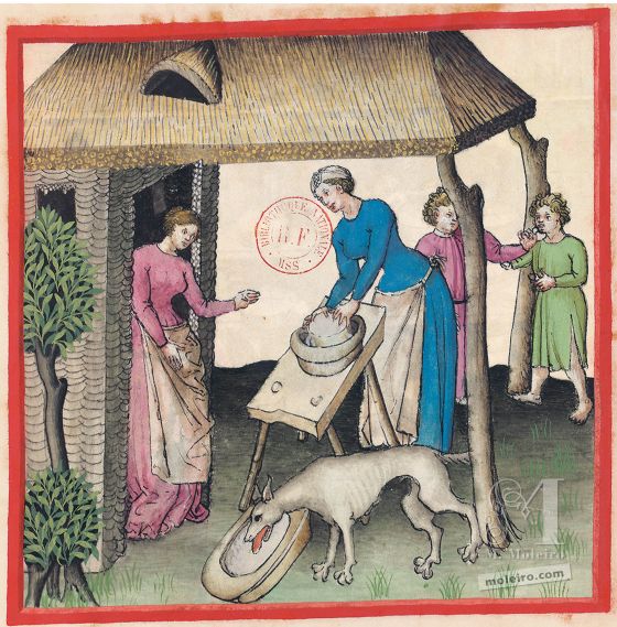 Tacuinum Sanitatis f. 58r, Frischkäse