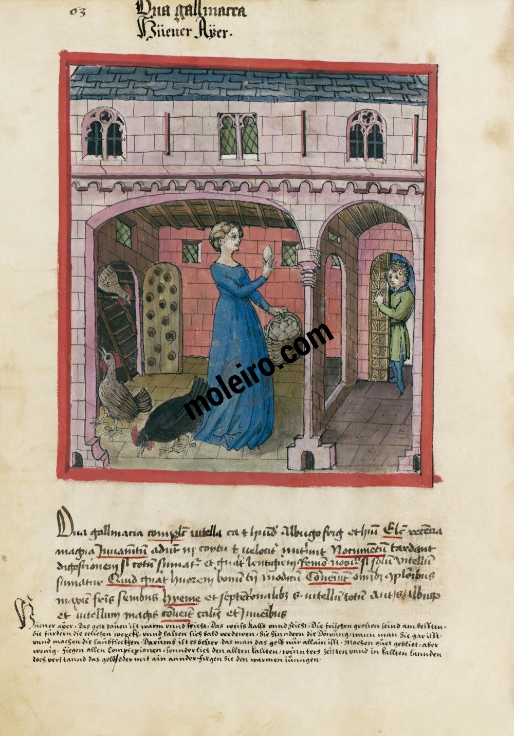 Tacuinum Sanitatis f. 63v, Œufs de poule
