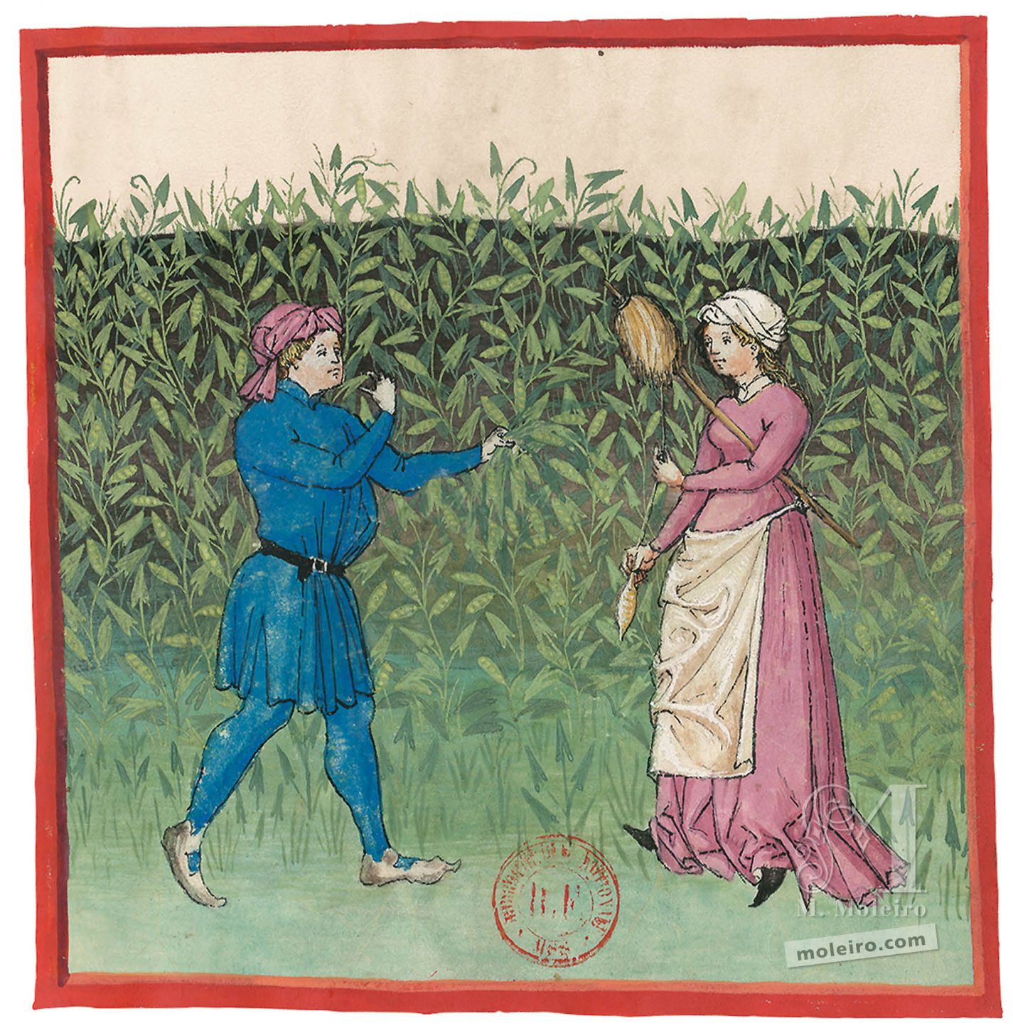 f. 48r, Arvejas