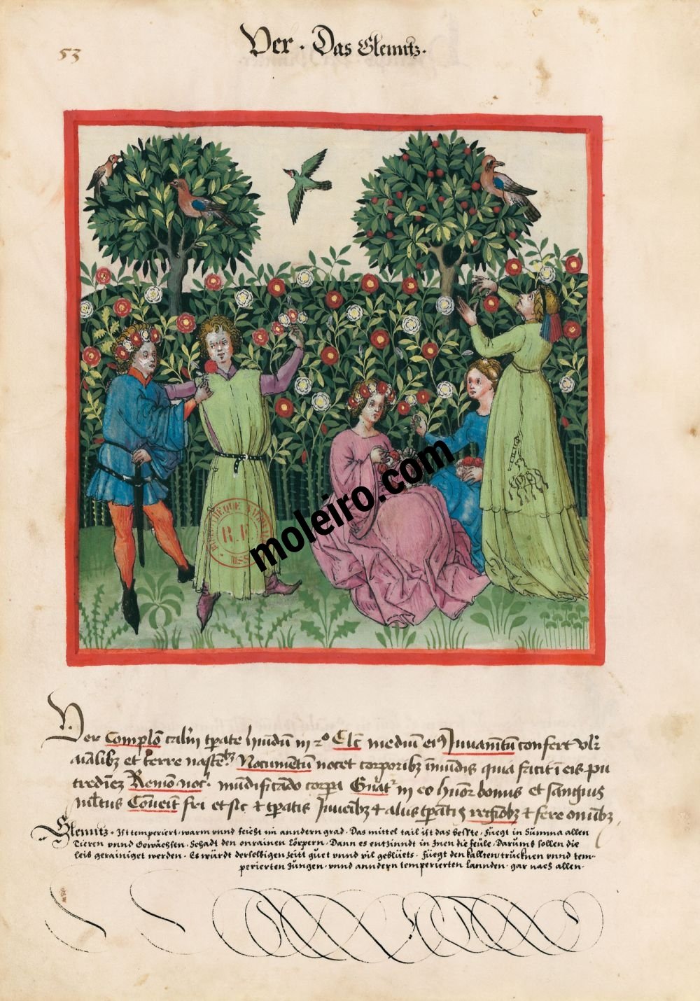 Tacuinum Sanitatis f. 53v, Printemps