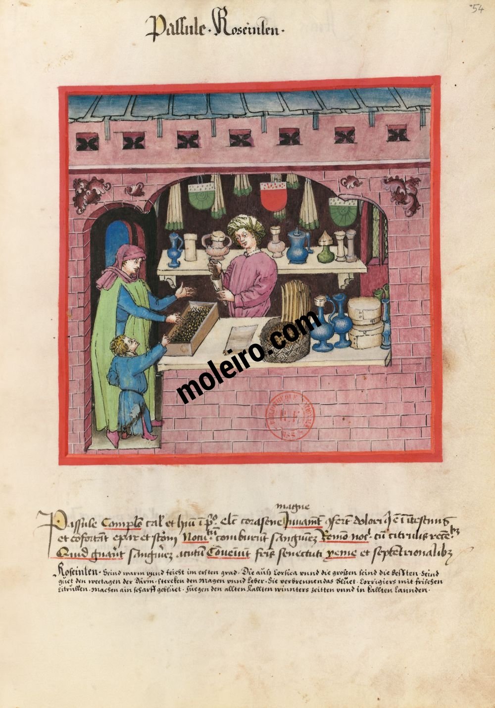 Tacuinum Sanitatis f. 54r, Raisins secs