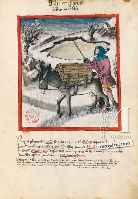 Tacuinum Sanitatis f. 87r, Neige et glace
