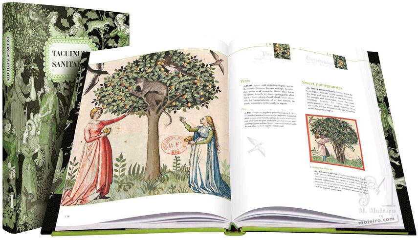 Tacuinum Sanitatis L'art du bien-être dévoilé au fil des pages