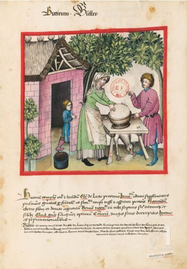 Tacuinum Sanitatis Bibliothèque nationale de France, Paris