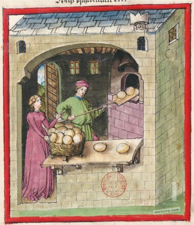 Tacuinum Sanitatis Bibliothèque nationale de France, Paris