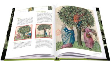 Tacuinum Sanitatis L'art du bien-être dévoilé au fil des pages