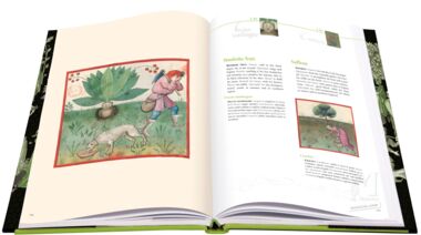 Tacuinum Sanitatis L'art du bien-être dévoilé au fil des pages