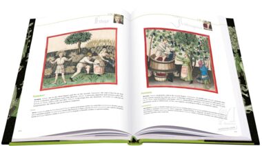 Tacuinum Sanitatis L'art du bien-être dévoilé au fil des pages