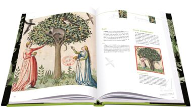 Tacuinum Sanitatis L'art du bien-être dévoilé au fil des pages